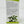 Load image into Gallery viewer, Terry Naturally Extra Strength Andrographis EP80