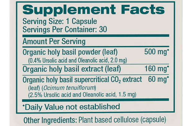 Holy Basil