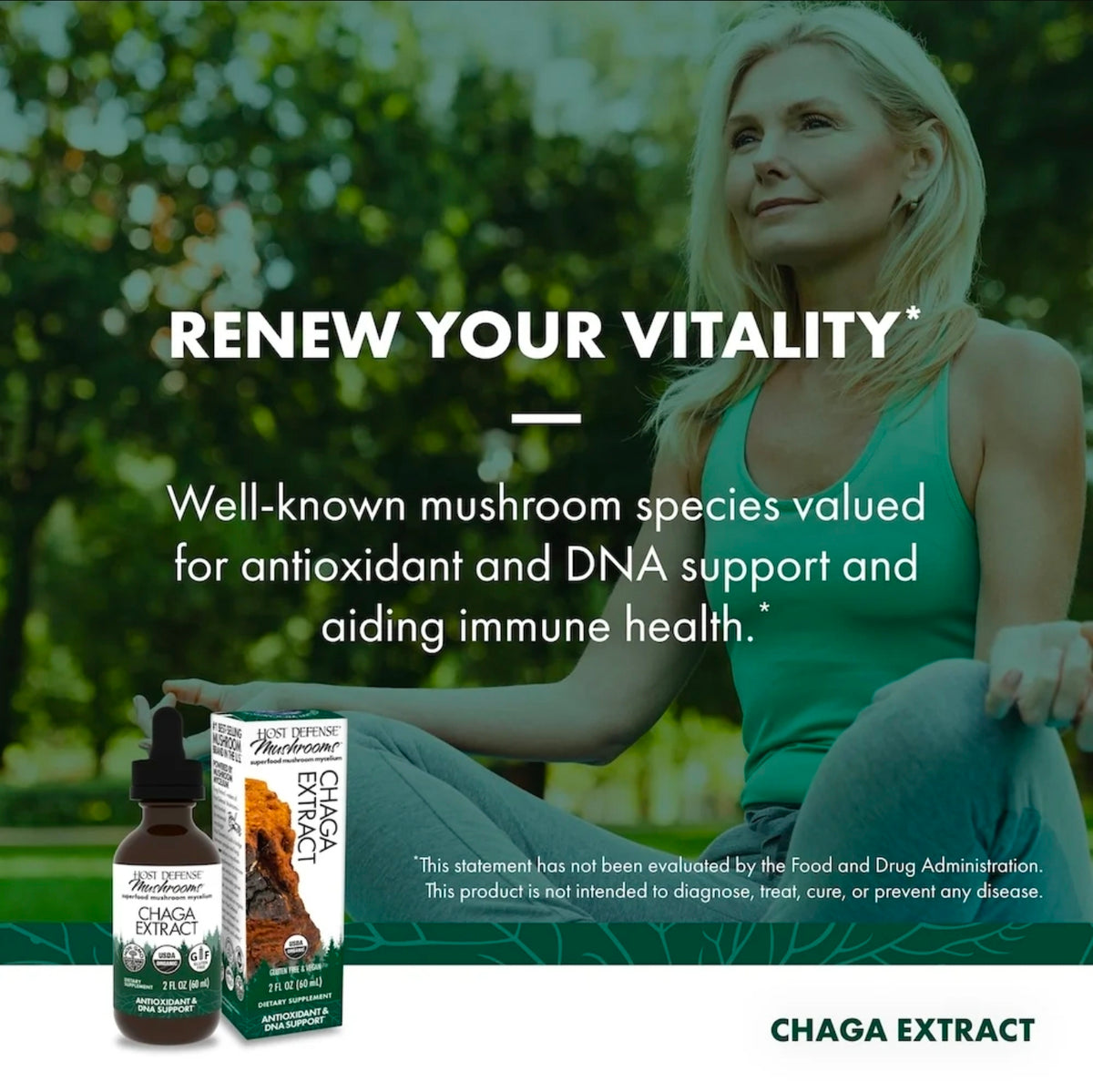 Chaga Mushroom