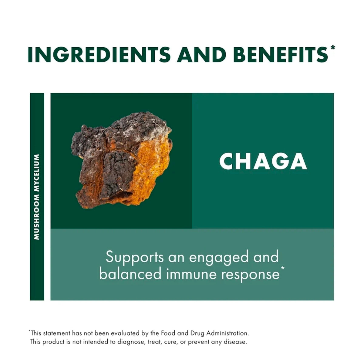 Chaga Mushroom