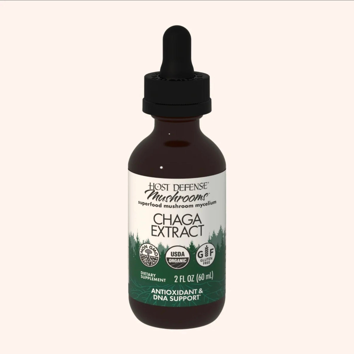 Chaga Mushroom