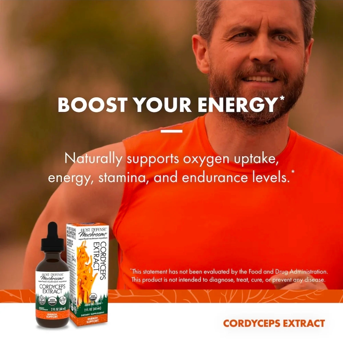 Cordyceps Mushroom