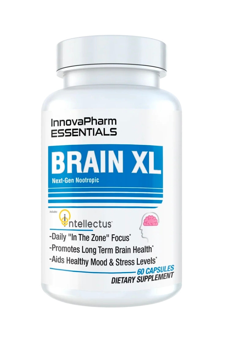 Brain XL