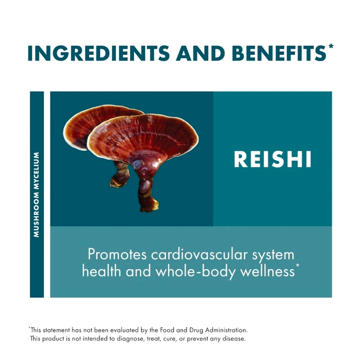 Reishi Mushroom