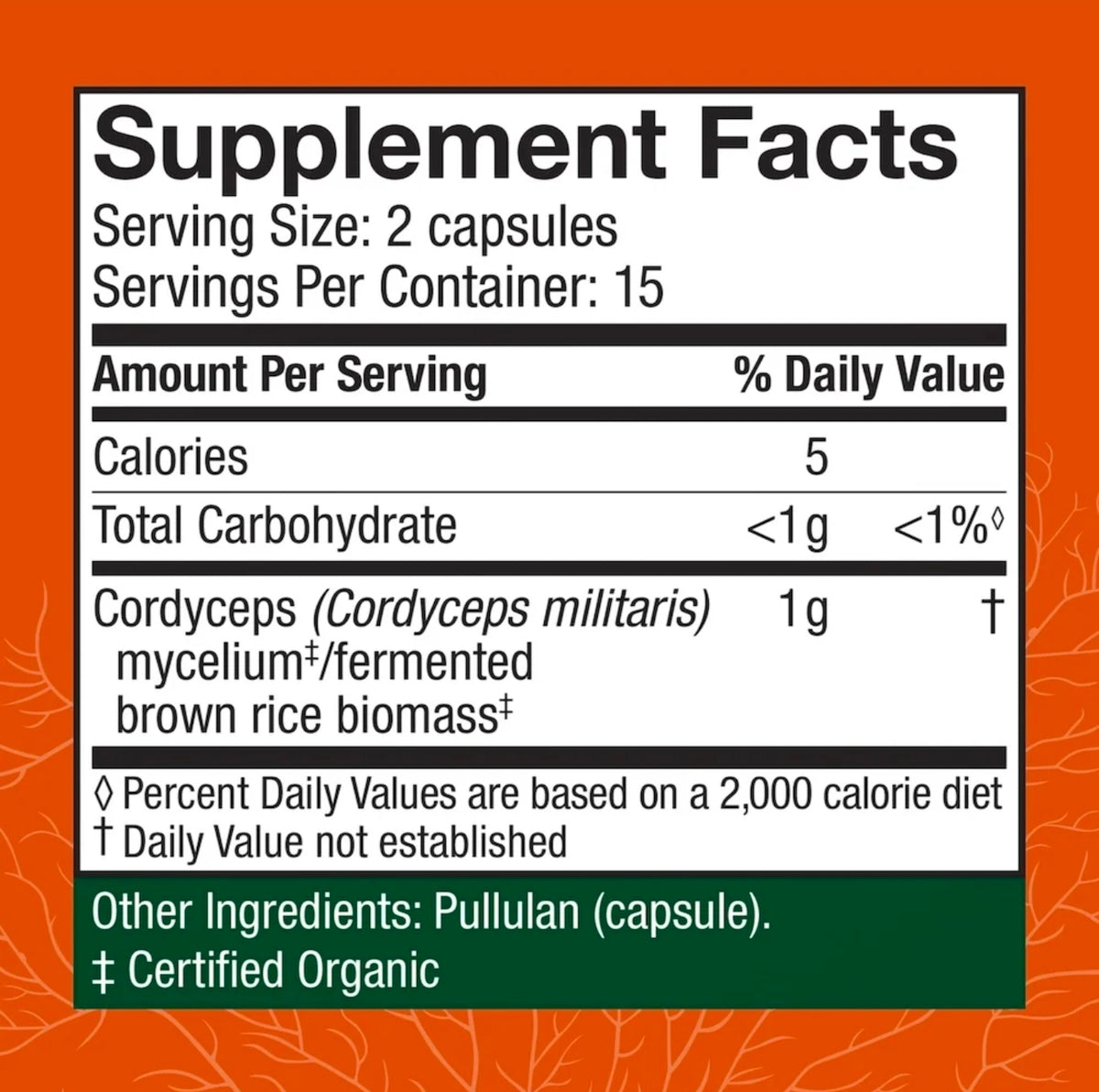 Cordyceps Mushroom