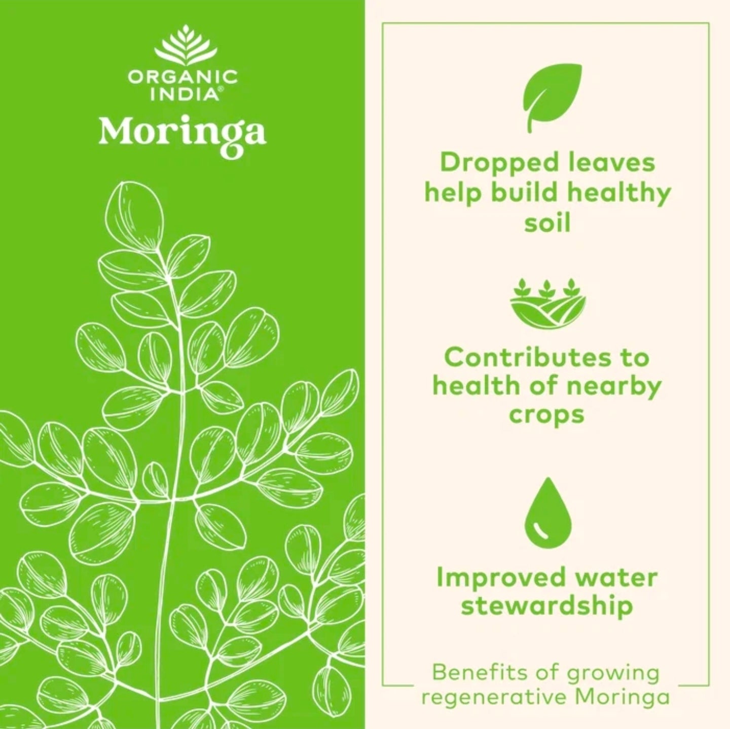 Moringa