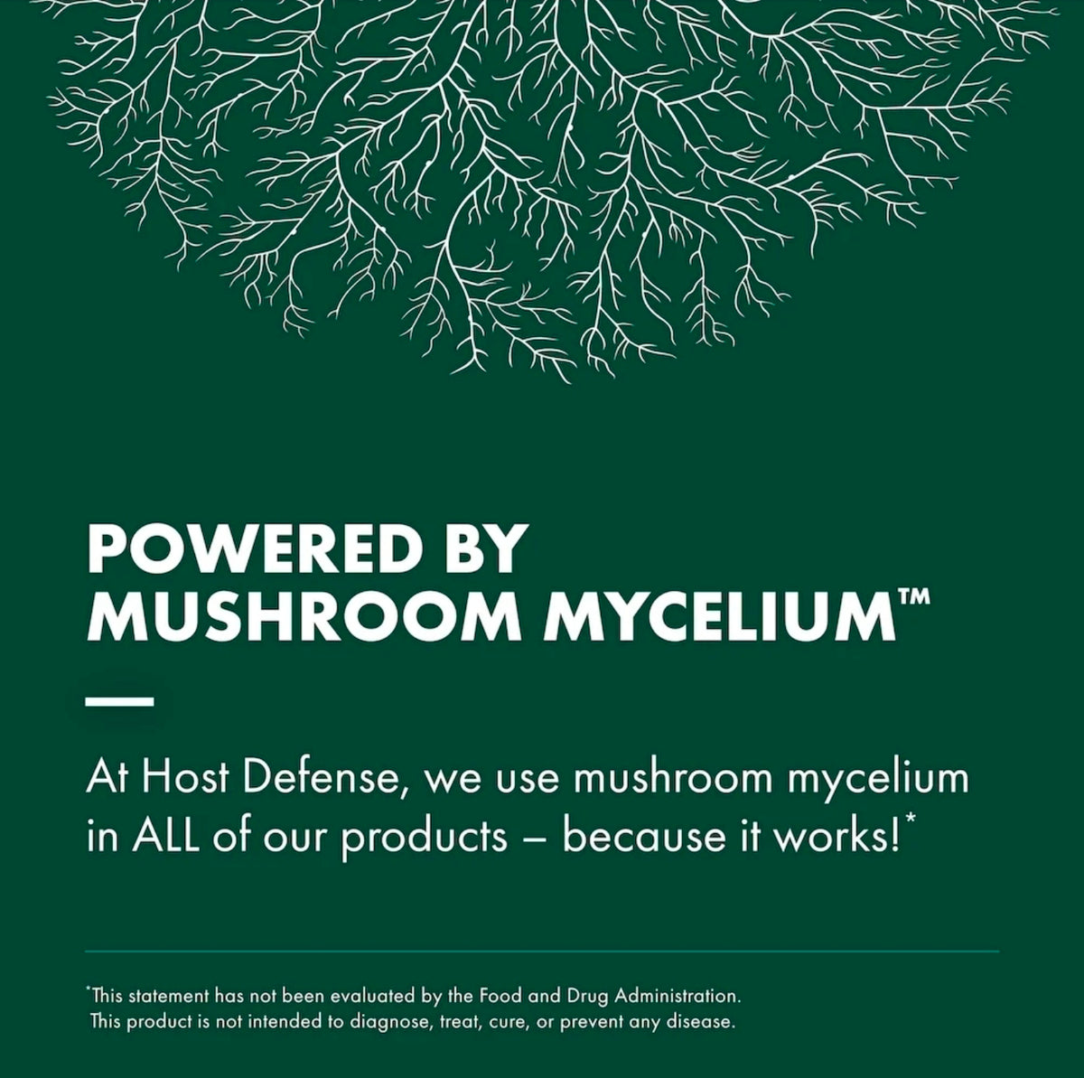 Chaga Mushroom