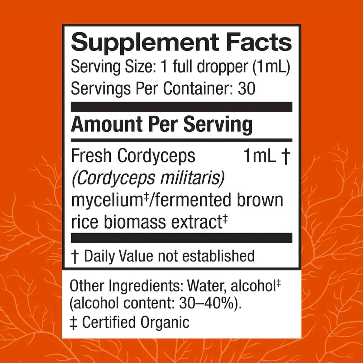 Cordyceps Mushroom