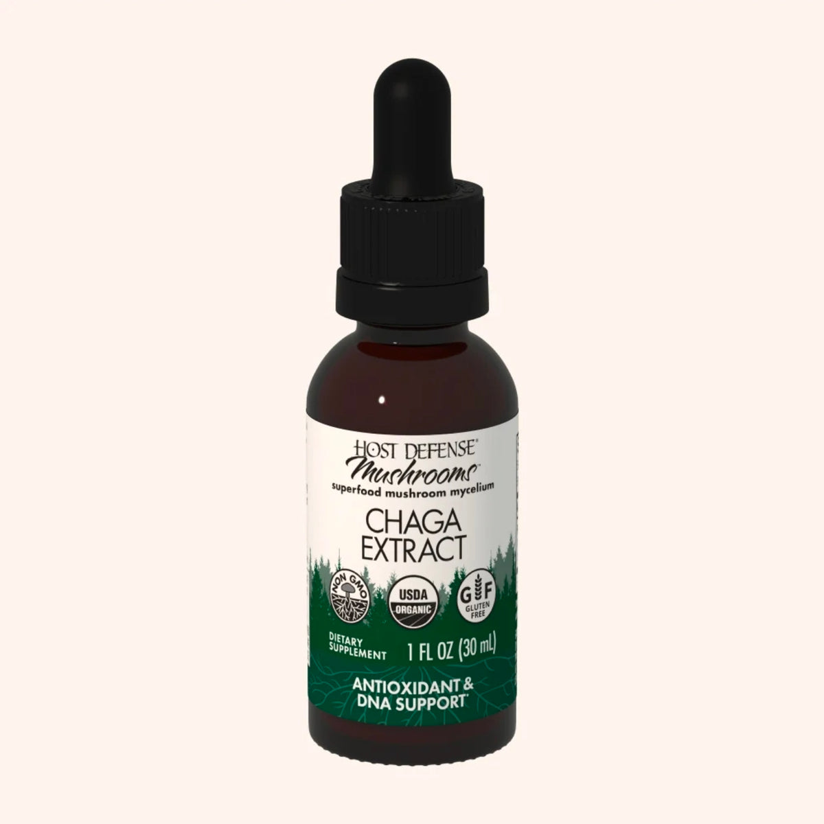 Chaga Mushroom