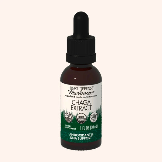 Chaga Mushroom