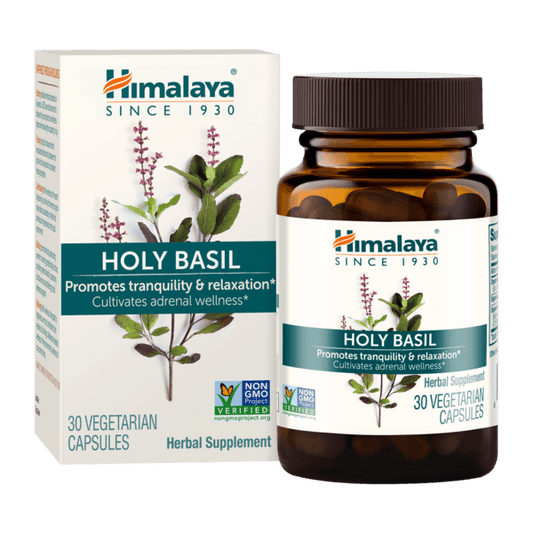 Holy Basil